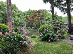 -浙江西子宾馆·瑶园咖啡厅