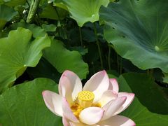 -南戴河国际娱乐中心