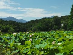 -清漾毛氏文化村