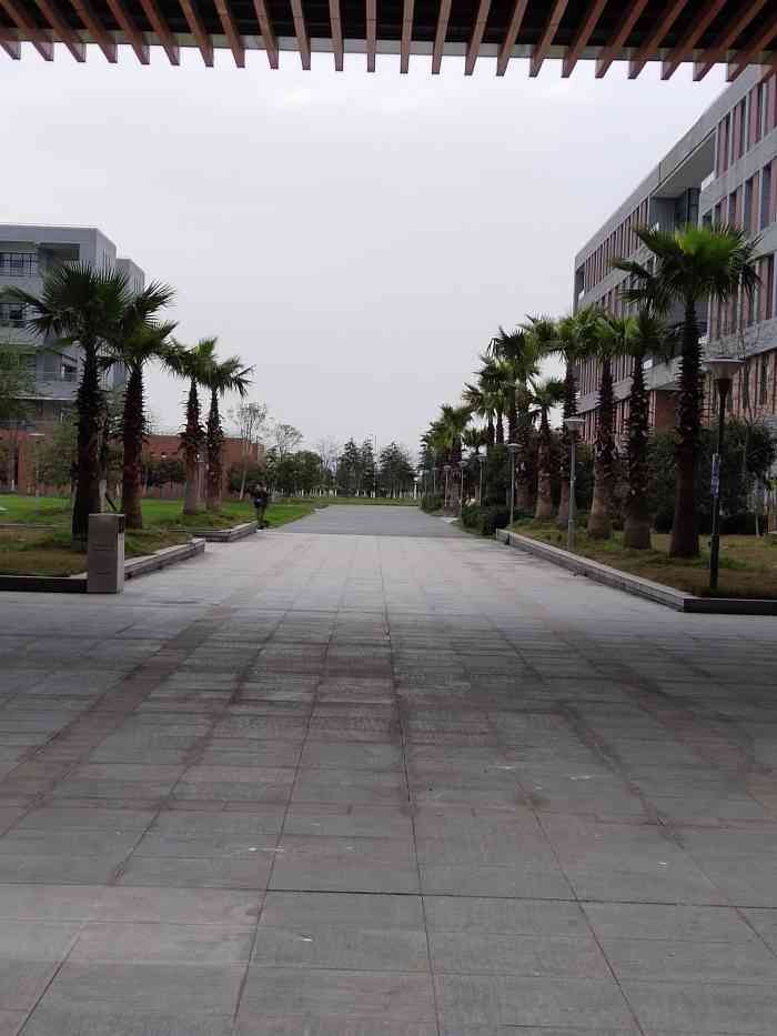 长江大学-"哈哈,我还以为学费可以团购呢!擦,空欢喜."-大众点评移动版