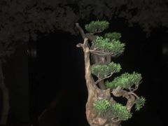 -璞·澐间影院式足道SPA(尚悦湾店)