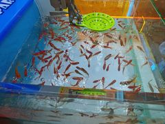 -快乐街区(成都龙湖北城天街店)