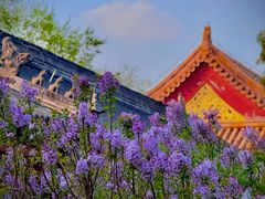 -北京市劳动人民文化宫(太庙)