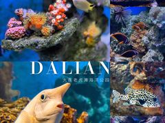 -大连老虎滩海洋公园