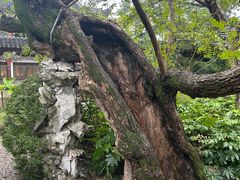 -汇龙潭