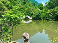 -黔灵山公园