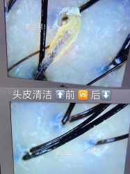 -妍理·植物养发