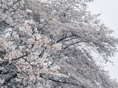 -杭州少年儿童公园