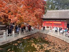 -香山公园
