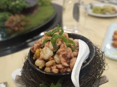 -丁老爷子苏香圆