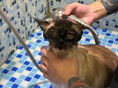 -FAELING PETS美天灵宠物(富力广场店)