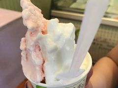 -柠檬车露(卖草地店)