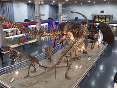 -国家自然博物馆