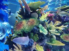 -成都浩海立方海洋公园