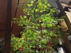 -肆月河豚·淮扬菜·湘菜(华天店)