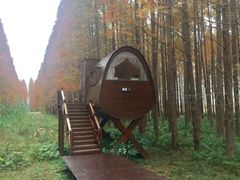 -黄海国家森林公园