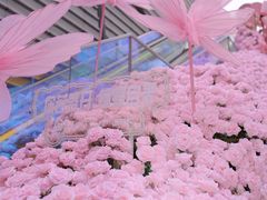 -万科生活广场(东莞松山湖店)
