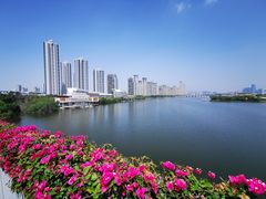 -厦门园林博览苑