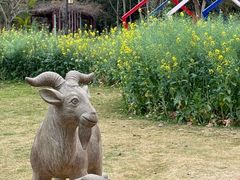 -神光山国家森林公园