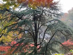 -虞山城墙