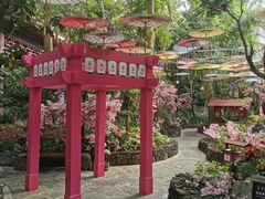 -海口观澜湖火山温泉谷