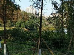 -重庆彩云湖湿地公园