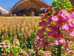 -中国天府农业博览园