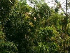 -北国之春国宴(乌兰察布店)