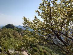 -天津盘山风景名胜区