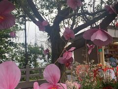 -广州市白云山风景名胜区