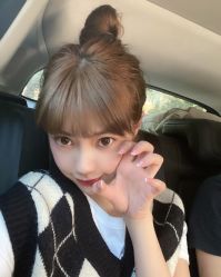-蚂蚁造型沙龙