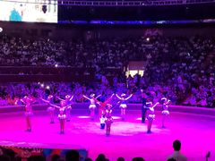 -俄罗斯国家大马戏团