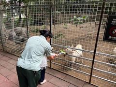 -厦门悦华酒店