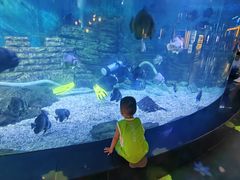 -烟台海昌鲸鲨海洋公园