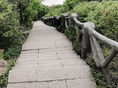 -梧桐山风景名胜区