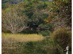 -梧桐山风景名胜区