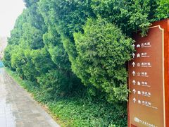 -盐池神庙