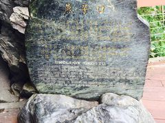 -太鲁阁公园