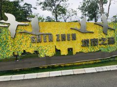 -白石龙音乐公园
