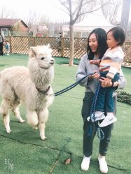 -萌宠亲子动物乐园(槐房万达店)