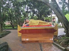 -瑞丽独树成林风景区