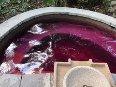 -融汇温泉