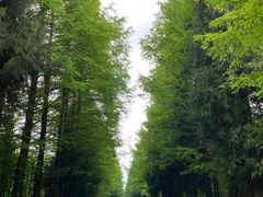 -山王坪喀斯特国家生态公园