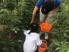 -兴芮温泉度假区