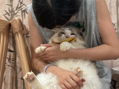 -楼上猫咖(罗湖店)