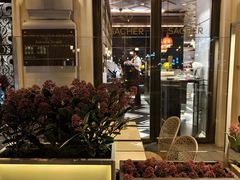 -Cafe Sacher(WIEN)