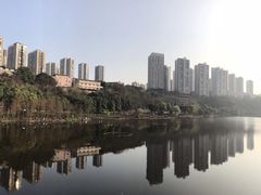 -重庆彩云湖湿地公园