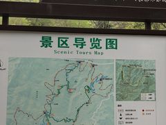 -牛头山森林公园