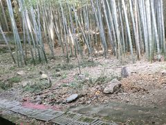 -峙山公园