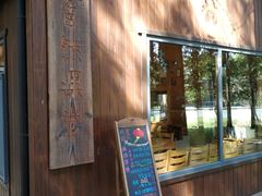 -同里国家湿地公园